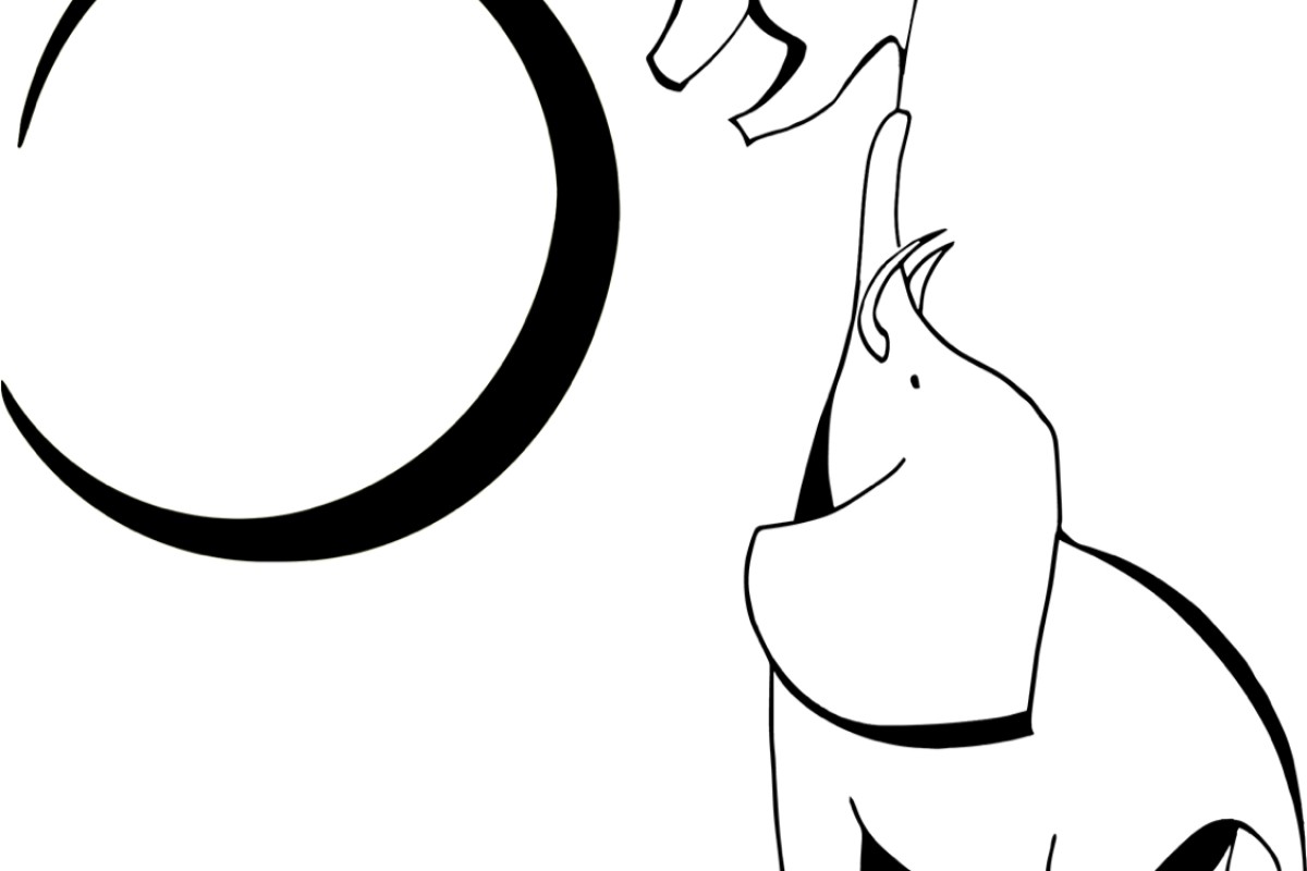 L'elefante sulla luna
